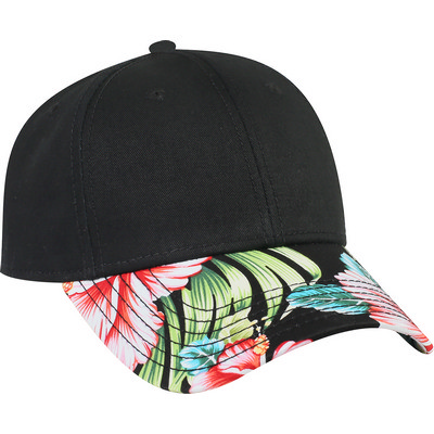 Six Panel Low Profile Style Cap